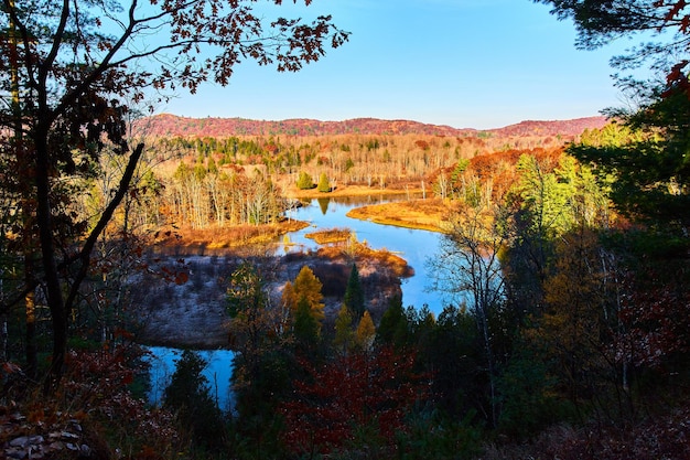 Amazing Things to Do in Northwest Arkansas