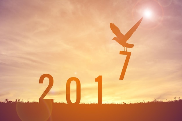 Air Europa's 25th Anniversary in Italy Promises Exciting Developments