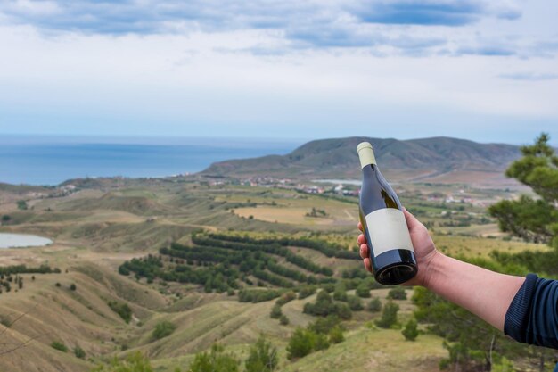 Alicante Wine Route - Top Wineries, Tastings & Travel Tips