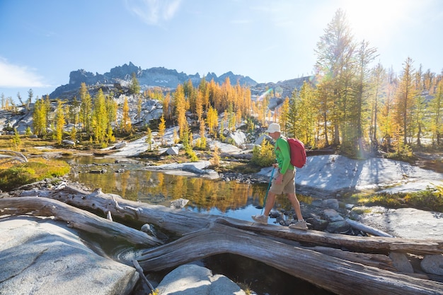 Things to Do in Alpena, MI