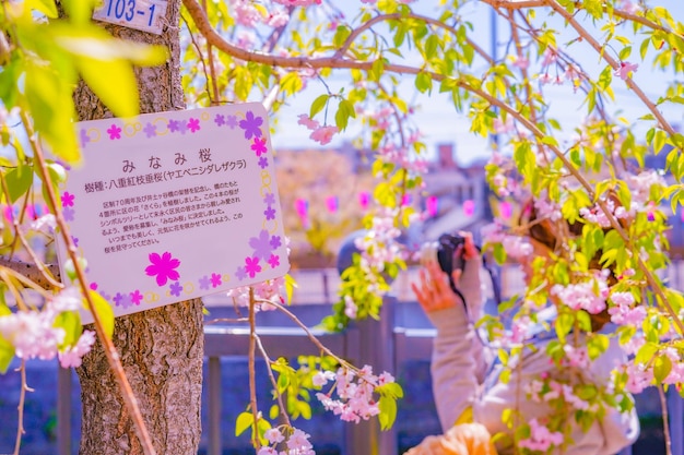 Spring 2025: Aman Invites Travelers to Experience New Offerings Across Europe