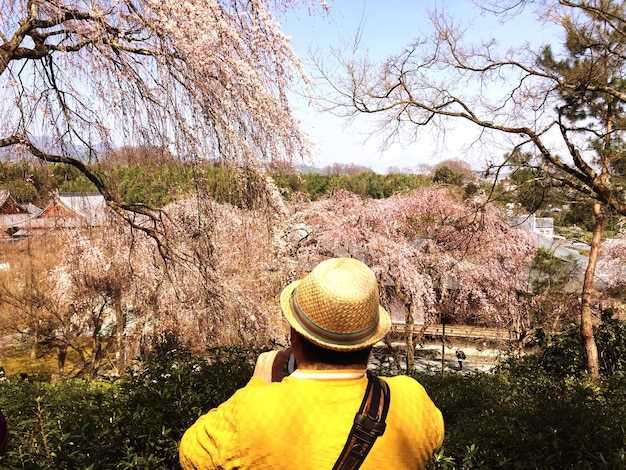 Аргентина розквітає як найкраща туристична пропозиція при сильному доларі США
