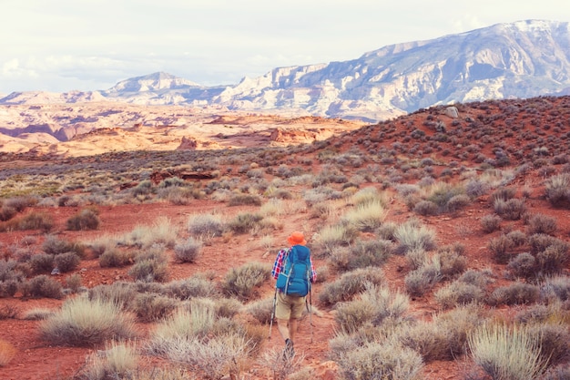 Explore the best things to do in arizona and make unforgettable memories