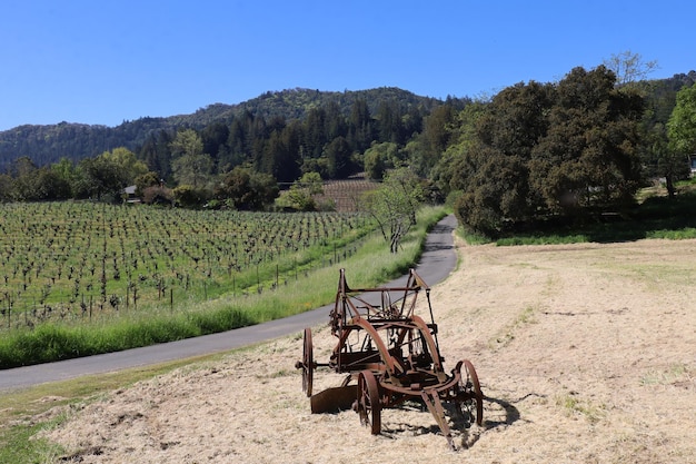 Explore the Wondrous Vineyards of Southeastern Sicily