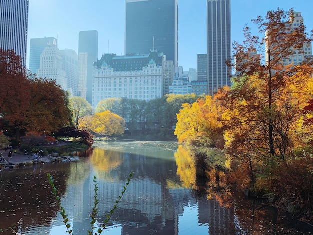 Autumn in New York City: Top Hotels for Fall Foliage and