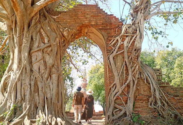 Explore Banyan Tree Dubai Caesars Palace: A Luxurious Stay in the Heart of Dubai