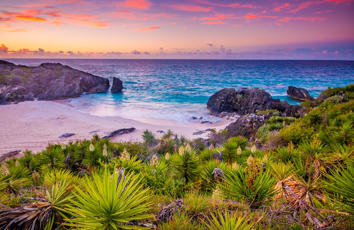 Uncover Amazing Things to Do in Bermuda