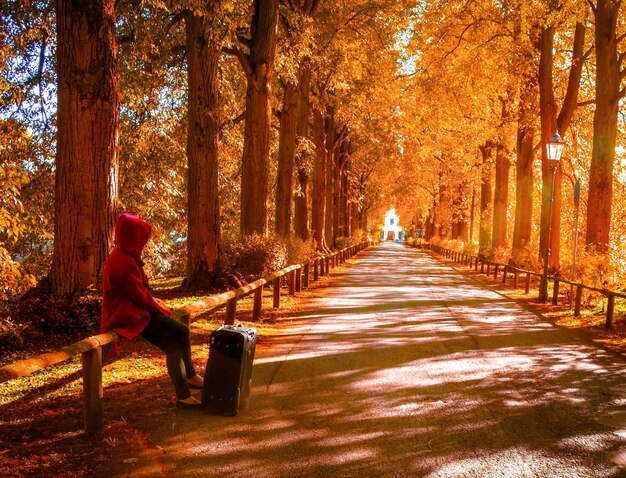 The Top Places to Visit in November: Embrace Fall Adventures