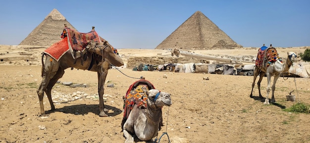 Best Things to Do in Cairo, Egypt: Explore the Wonders of the City