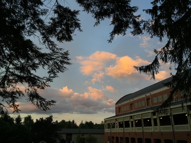 Bobcats Light Up Campus During Welcome Week | Campus Life Highlights