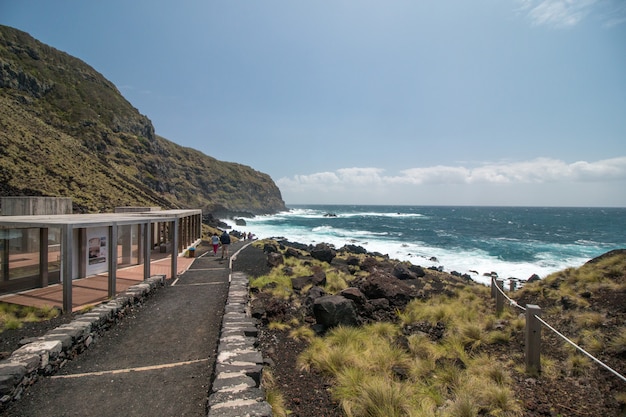 Konečný sprievodca aktivitami v zálive Bodega Bay