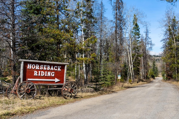 Еволюція пре-вечірки Боннару в середу