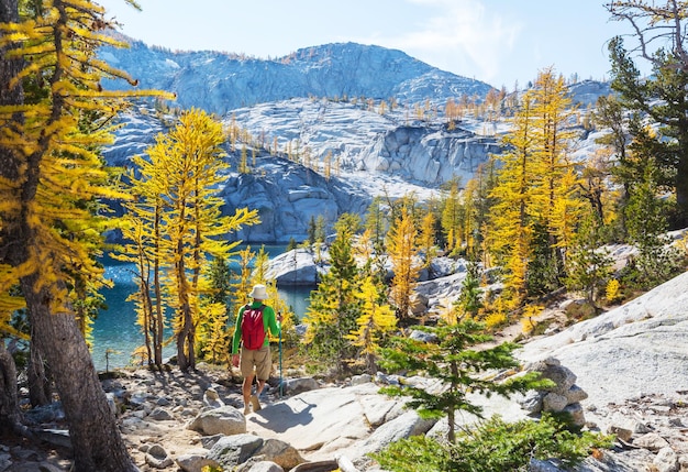 Discover Amazing Things to Do in Bozeman, Montana