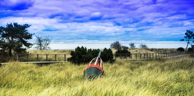 Discover Amazing Things to Do in Bucks County This Weekend