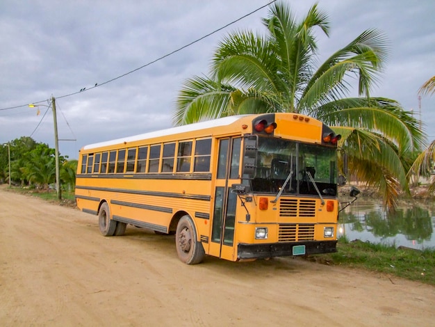 Bus from Colombo Bandaranaike International Airport (CMB) to Kandy – Timetable & Fares