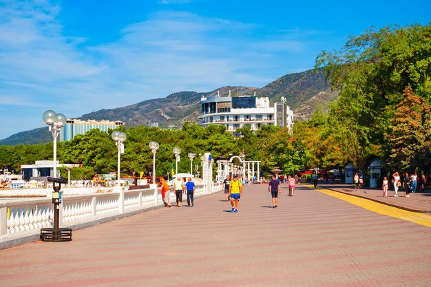 Busan Gimhae PUS Airport Transfer - Private Car and Shuttle Services