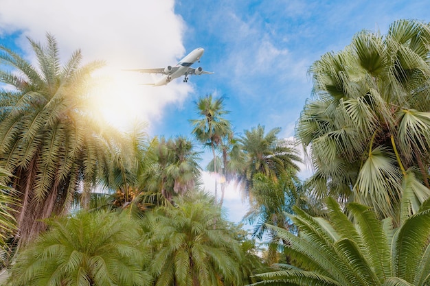 Cairns Airport to Palm Cove - Transfer Options and Travel Time