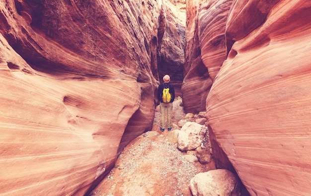 Canyon Spirit erweitert Scenic Train Route nach Salt Lake City für 2026