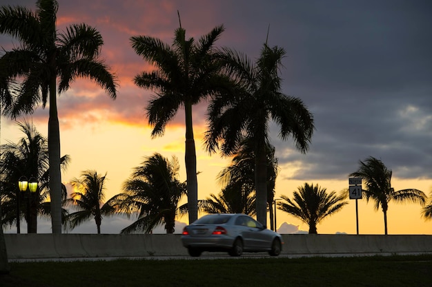 Car Rentals in Palm Springs, California | Best Deals & Tips