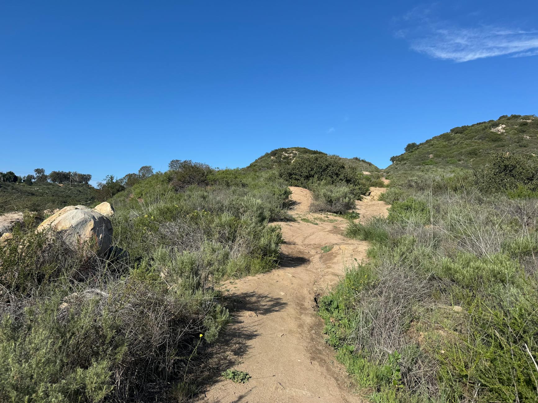 Ultimate Guide: Things to Do in Carlsbad California