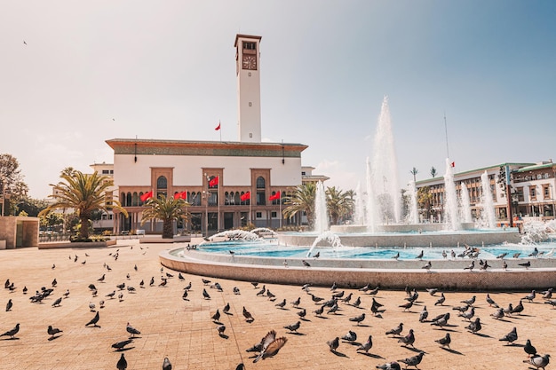 Casablanca City Center to CMN Casablanca Airport Private Transfer