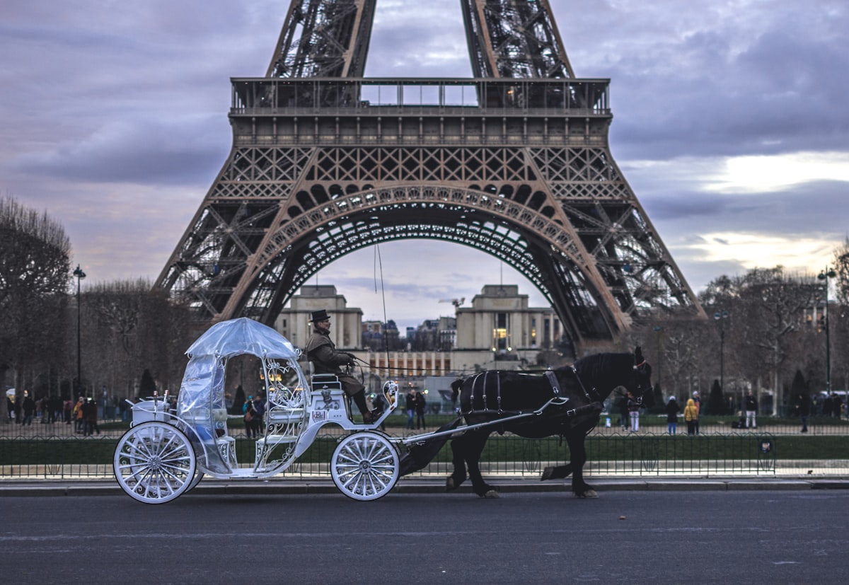 CDG Airport to the Eiffel Tower Paris with a Personal
