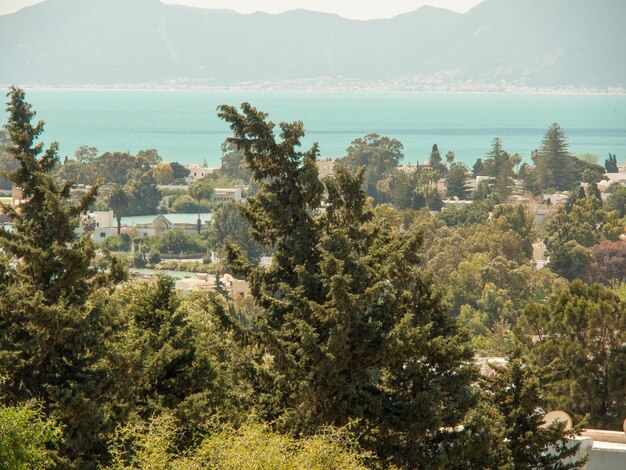 Saker att göra i Cedar City