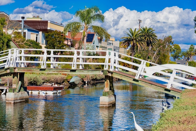 Amazing Things to Do in Central Florida