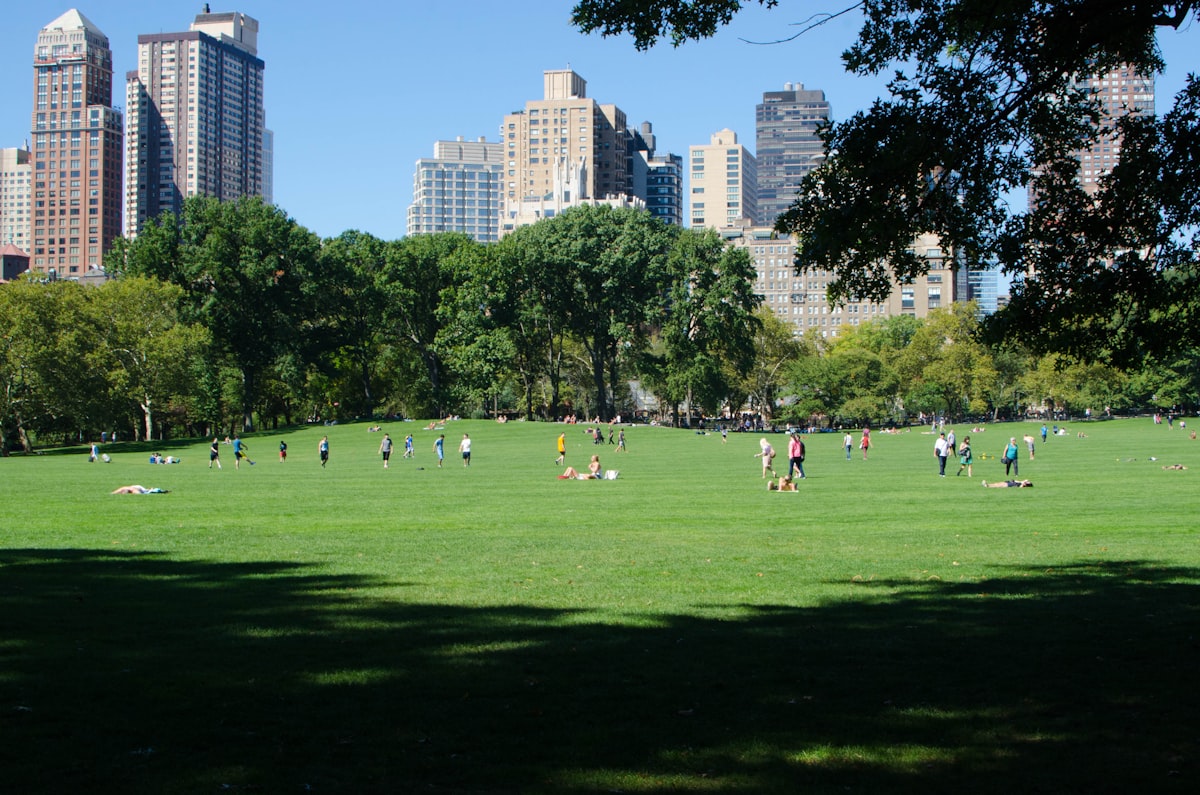 A Central Park legjobb programjai