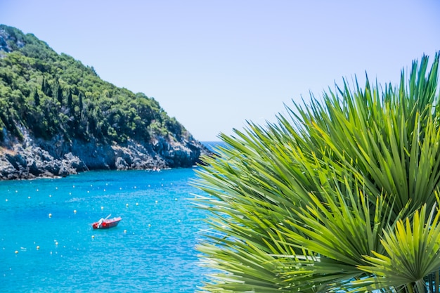 Amazing Things إلى Do in Corfu