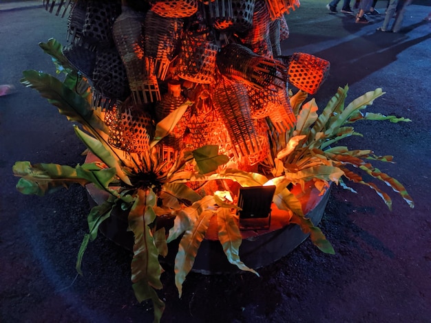 Deep Tropics Festival 2025: A Sonic and Eco-Friendly