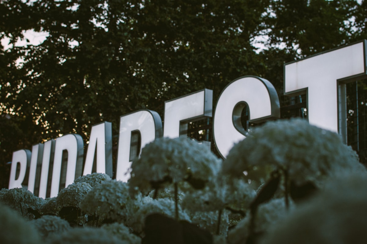 Marketplace vs Direct Operator: Viator and One Nation Travel Compared for Turkey Trips