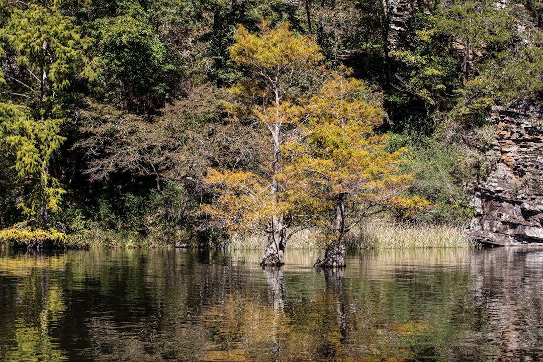 Top Things to Do in Broken Bow OK: Your Complete Guide