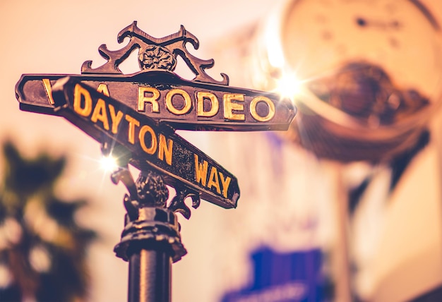 Countdown to Bonnaroo 2025: Discover the Artist Rossy