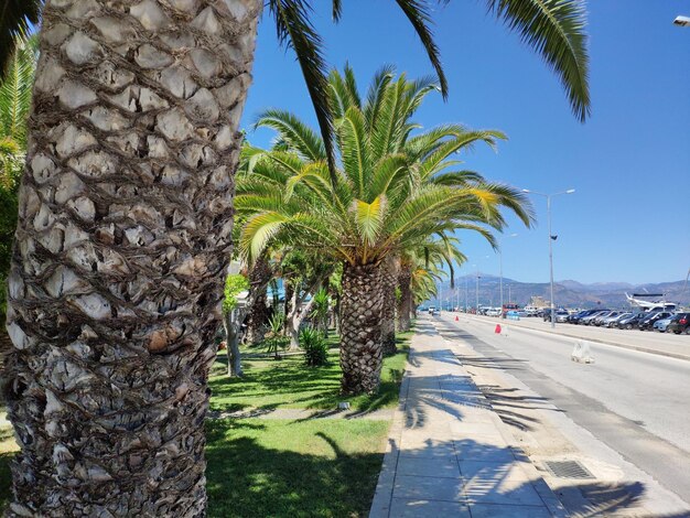 Does Mazatlan Have Uber? Your Guide to Mazatlan's Rideshare Apps