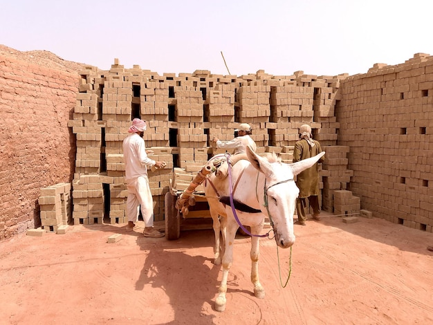 Емірати відзначають історичну присутність на арабському туристичному ринку, приймаючи понад 27 000 відвідувачів