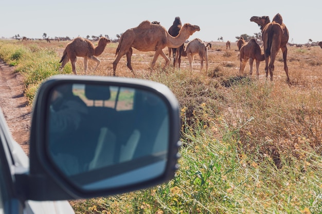 Emirates rolls out Tingg split-payment option in Kenya while increasing Dubai–Nairobi capacity