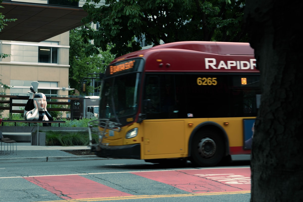 Exciting Things to Do in Rapid City