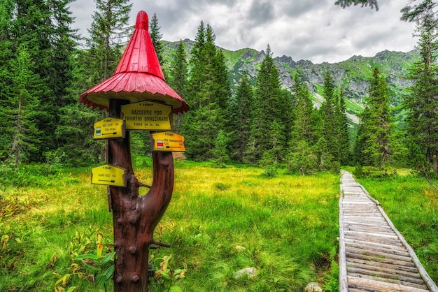 Five production revelations from Emerald Fennell’s Wuthering Heights talk and what they mean for transfers