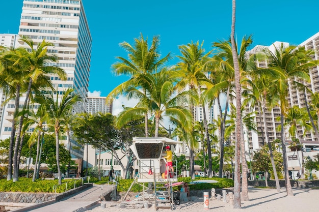 Fort Lauderdale to Miami Bus - Schedule, Fares & Travel Tips