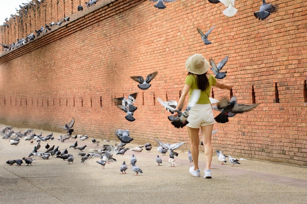 Συναρπαστικά Δωρεάν Πράγματα που Μπορείτε να Κάνετε στο Πίτζεον Φορτζ