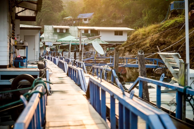 Од СФО до Рибаревог пристаништа - Како стићи тамо