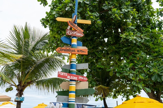 Discover Fun Things to Do in Baton Rouge