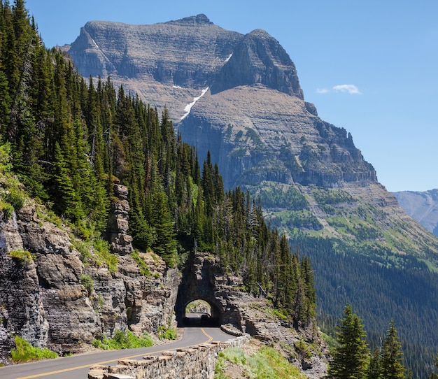 Discover Incredible Things to Do in Grand Teton National Park