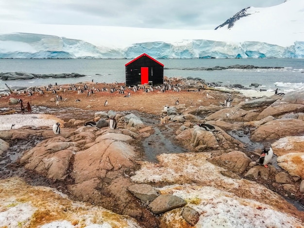 Explore the Wonders of Greenland Tourism: Your Ultimate Guide to Visiting Greenland