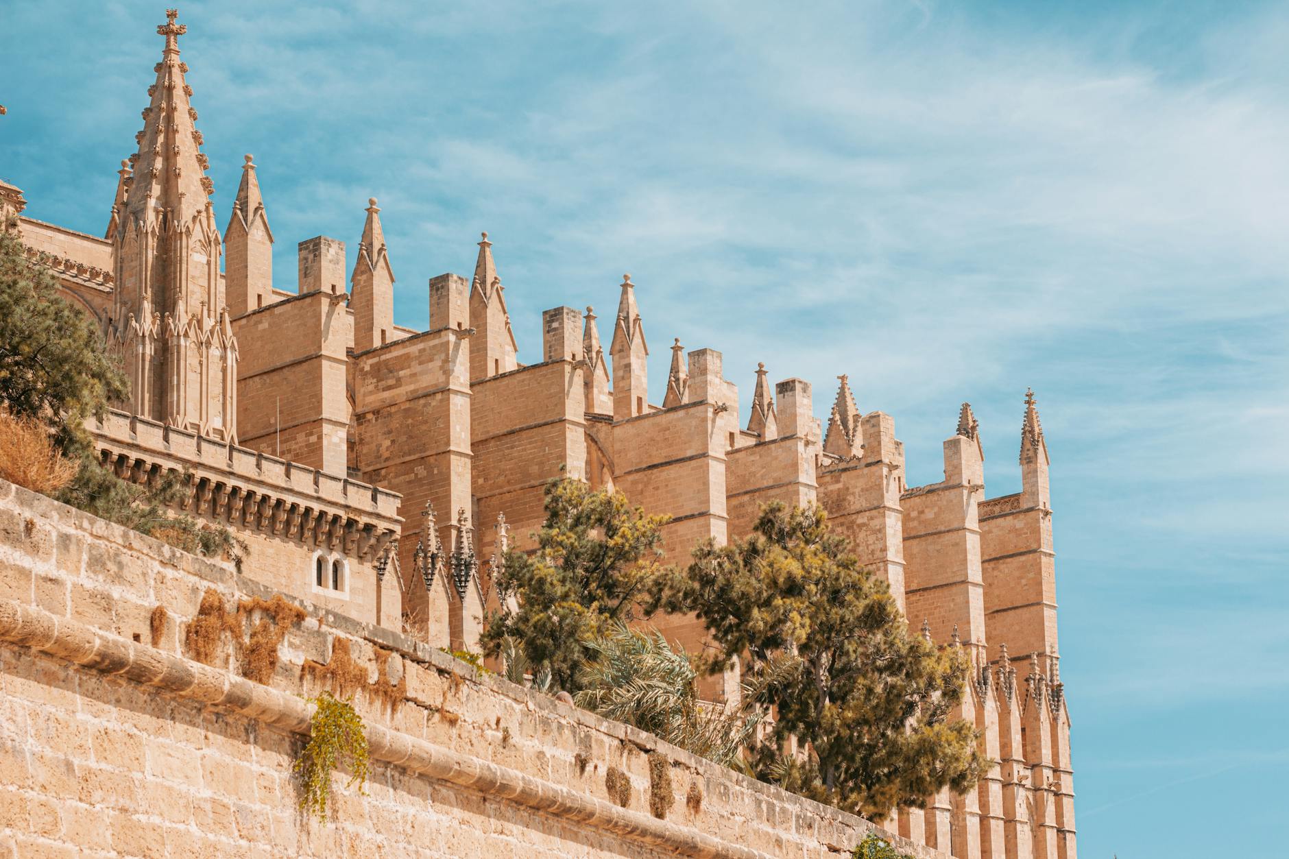 Palma Group Transfers: Minibus & Coach Guide