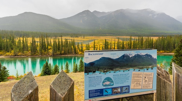 Insights from TAFI's Showcase: Strategies for Travel Sector Growth