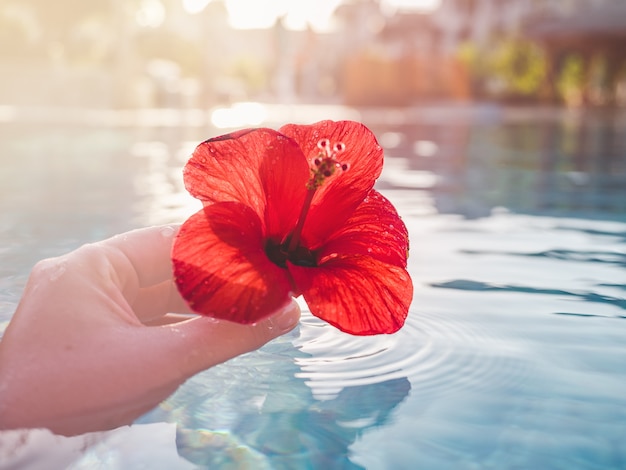 Experience Tranquility at Hibiscus Villa by CGH Earth Saha