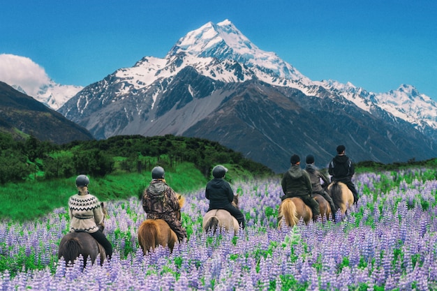 Himachal Pradesh Tourism's Turnover Hits New Heights as Revenue Exceeds Rs 100 Crore