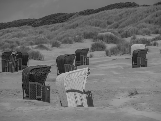 Historical Narratives at the Powell-Cotton Museum and Beckford's Tower